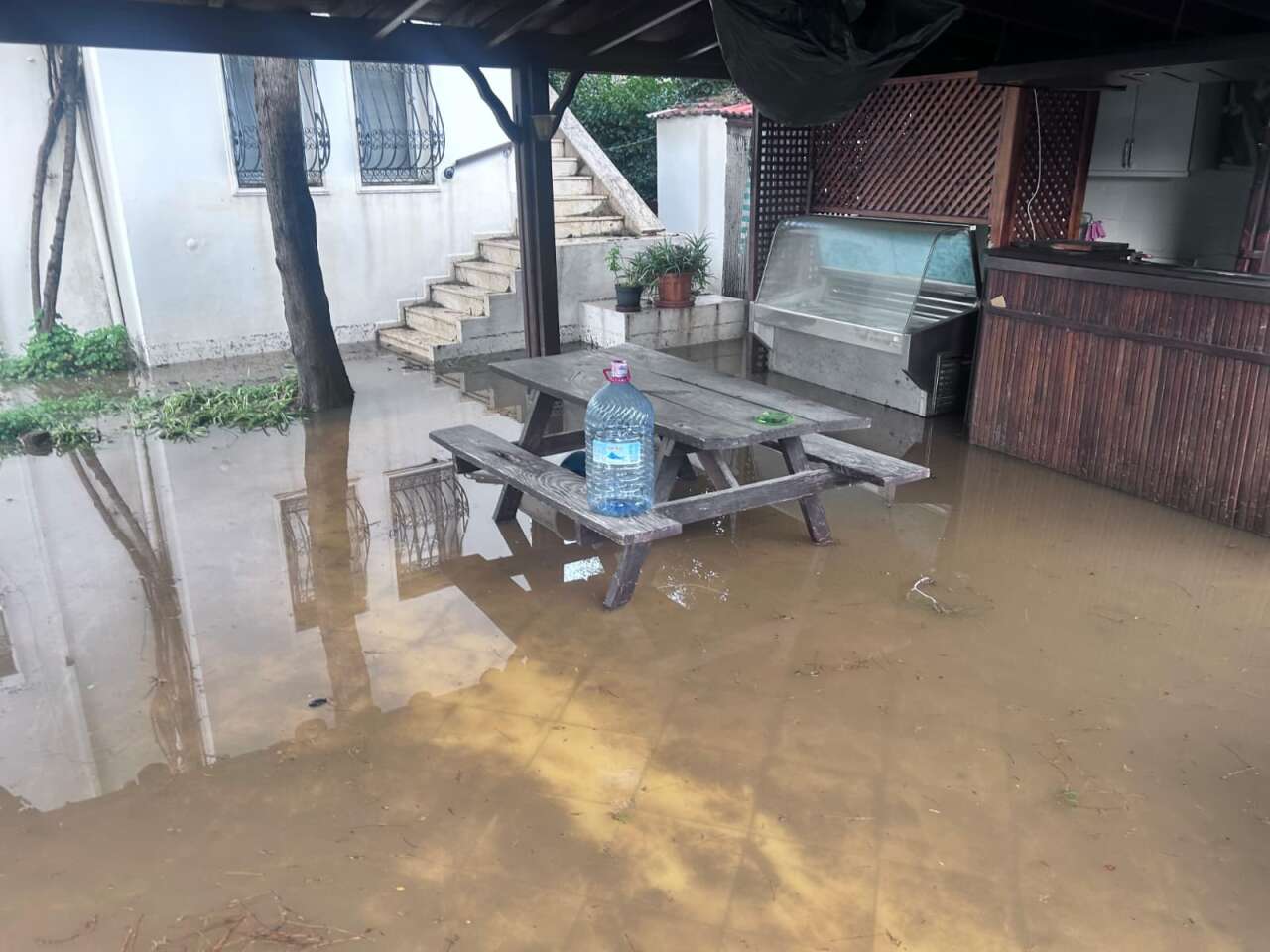 Bodrum’da Selin Tablosu Gün Ağarınca Ortaya Çıktı 10